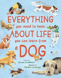 Everything You Need to Know About Life You Can Lea