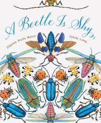 A Bettle Is Shy